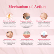 Ceramide HA Glow Face Moisturiser - Buy Natural Cosmetics Online