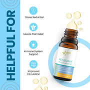 Rosemary Pure Essential Oil for Mental Clarity, Hair Growth Rituals & Skin Revitalisation – 10 ml