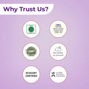 IHT9 Ayurvedic Hair Shampoo for Prevent hair fall & Control Hair Loss-Value Pack - Buy Natural Cosmetics Online