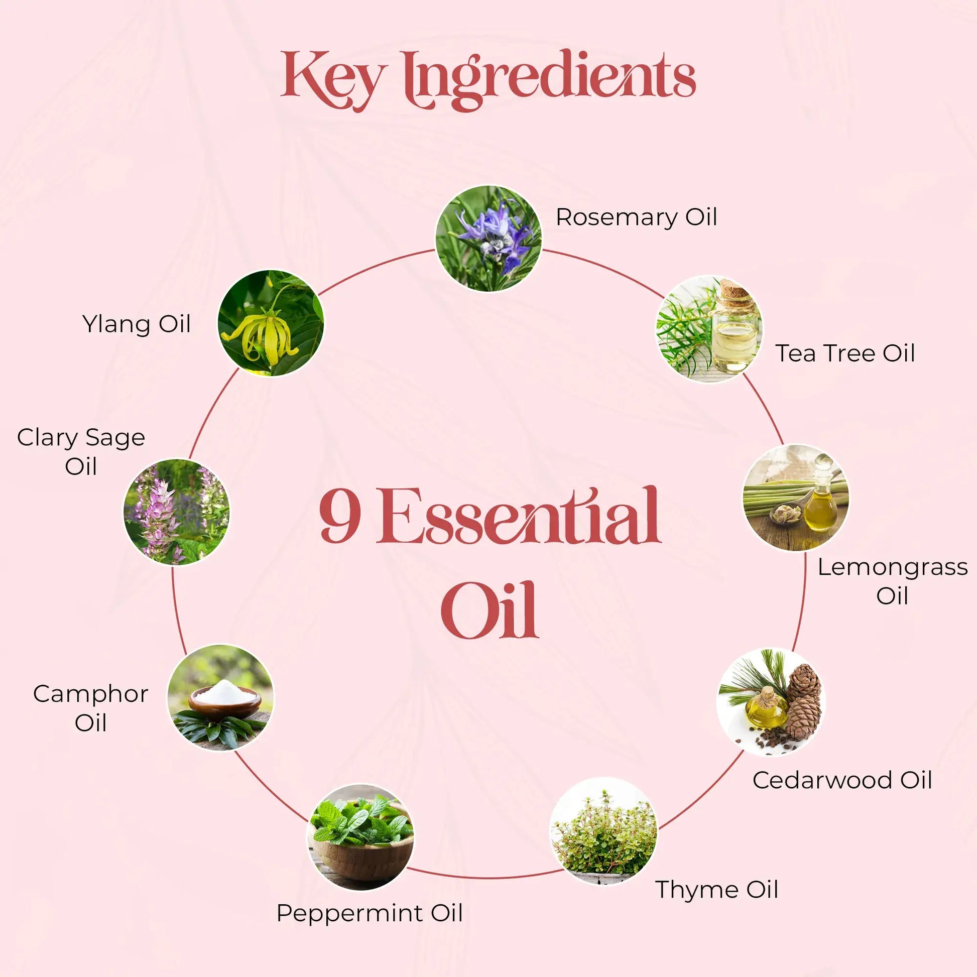 IHT9 Ayurvedic Hair Oil | Hair Fall Control and Hair Growth With 9 Ayurvedic Herbs & 9 Essential Oil | Bhringraj | Neem| Saw Palmetto-For Both Men & Women - Buy Natural Cosmetics Online