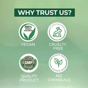 Himalayan Green Tea Honey & Ginger Premium Handmade Bathing Soap, 125g